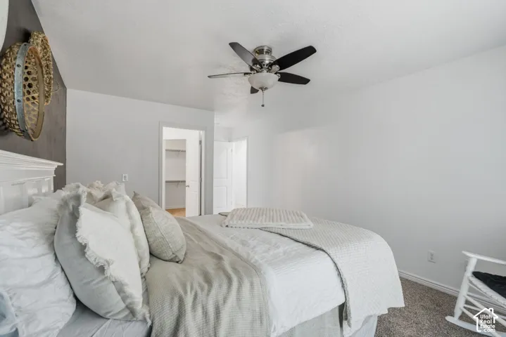 Spacious bedroom with ceiling fan, white paneled headboard, neutral wall finishes, and carpet flooring