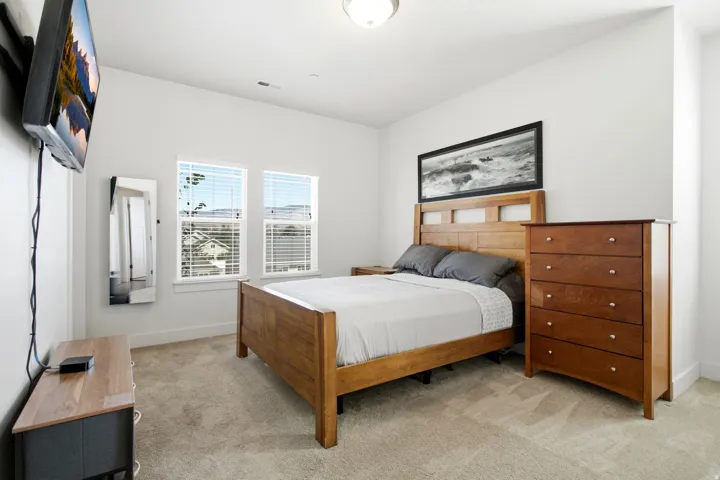 Carpeted room featuring dual windows with blinds, a wall-mounted television, and a flush-mount ceiling light fixture