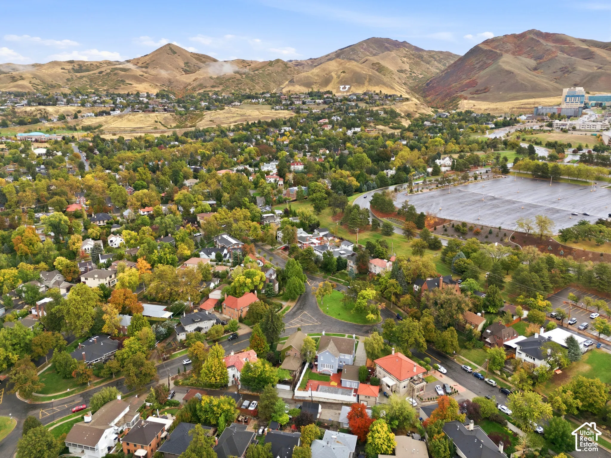 Residential community featuring mature trees, paved roads, and a prominent mountain backdrop
