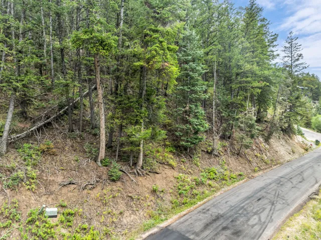 395 Matterhorn Dr, Park City, Utah 84098