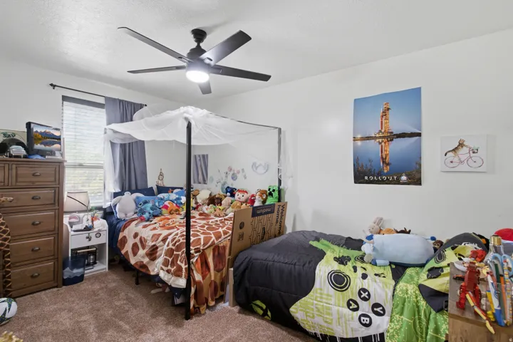 Neutral wall paint with textured carpeting