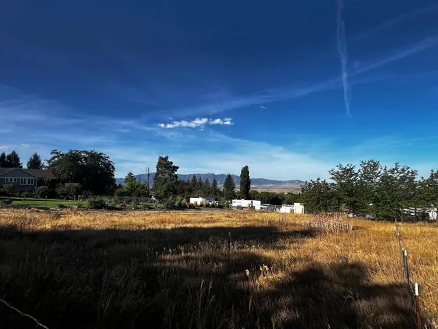 Expansive undeveloped land featuring mature trees and a clear mountain backdrop