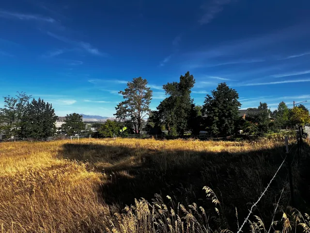 Expansive undeveloped land with mature trees and a distant mountain range backdrop
