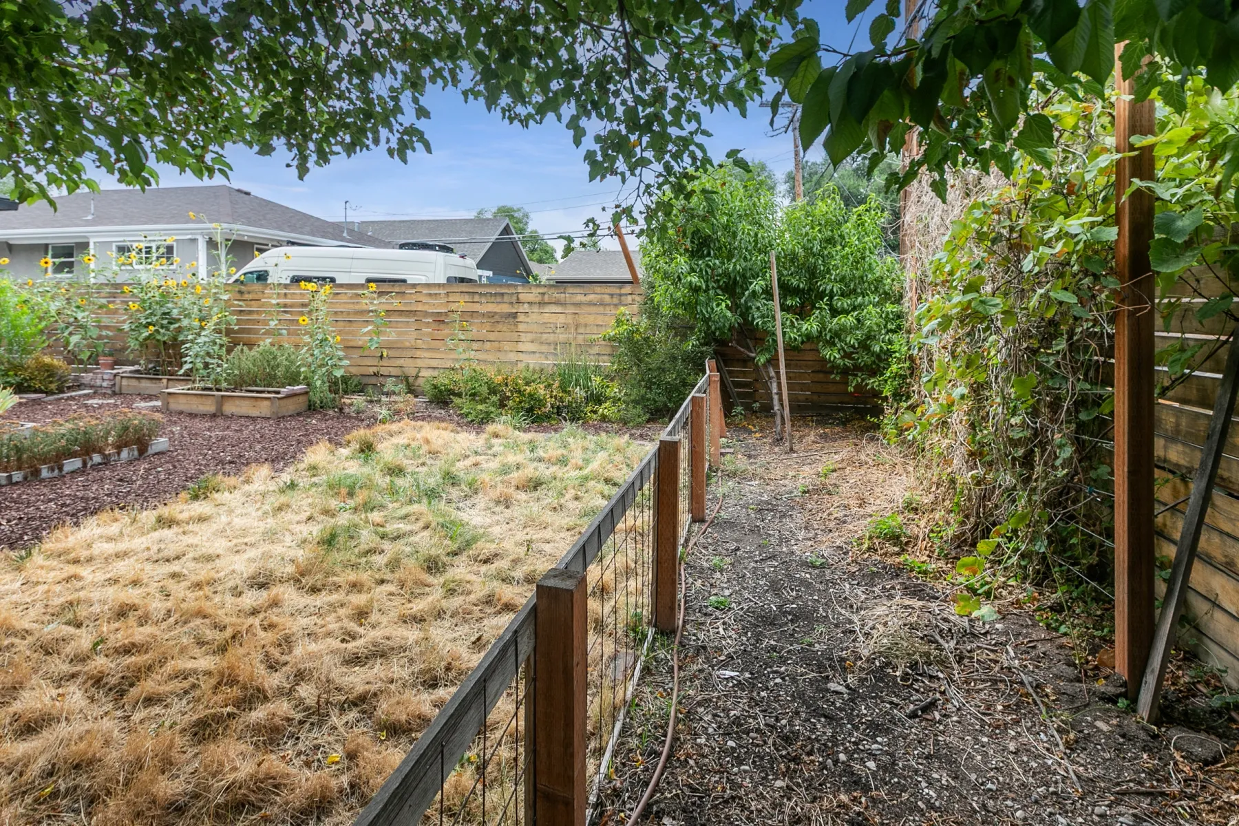 Fenced yard with raised garden beds and a gravel path