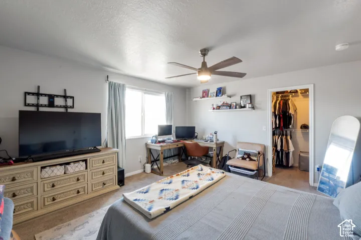 Primary bedroom with walk-in closet