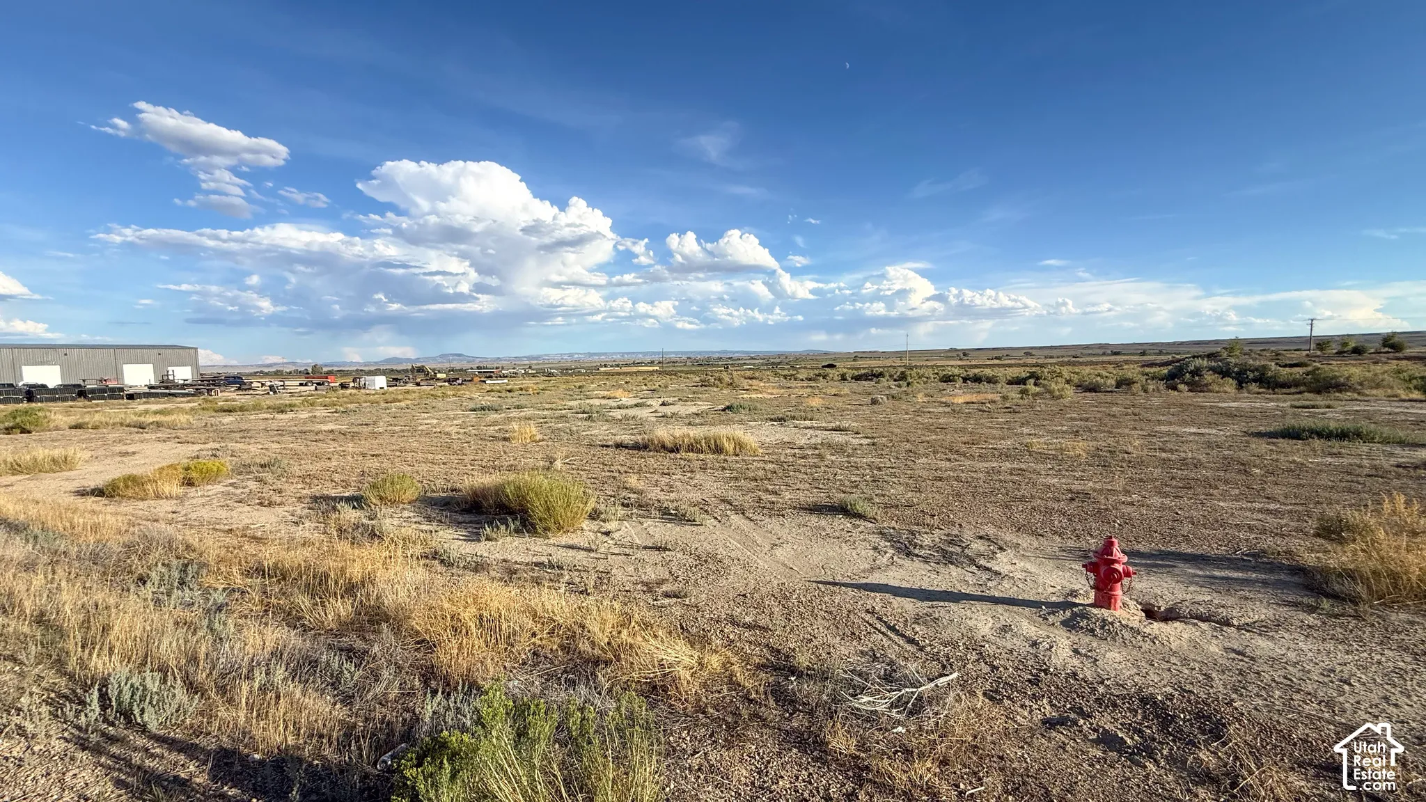 Expansive vacant land featuring a red fire hydrant, natural ground cover, and distant structures