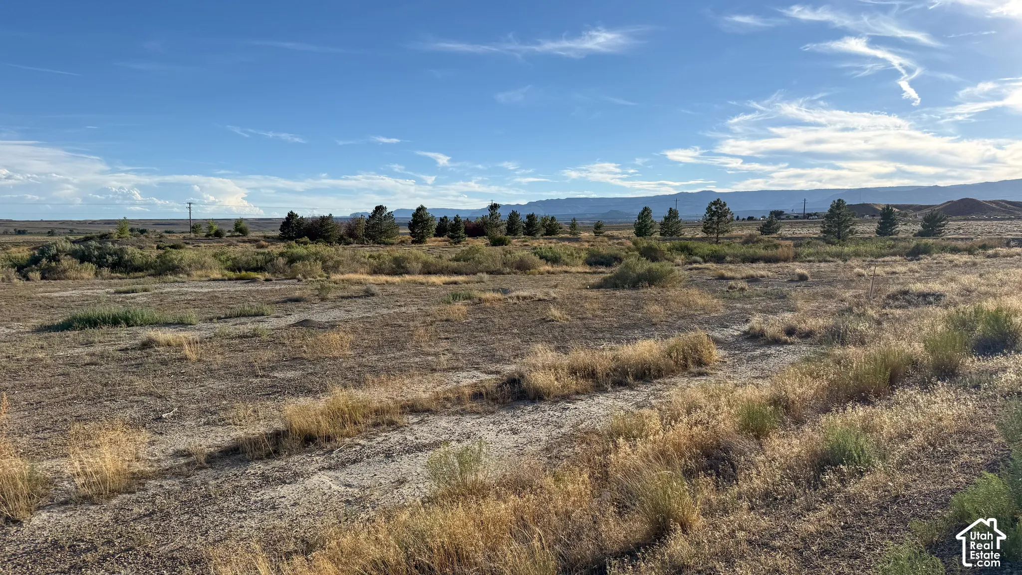 Expansive land offering a wide-open landscape, distant mountain ranges, and scattered trees
