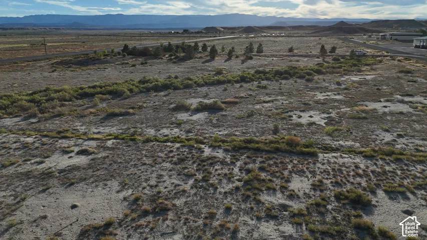 Expansive desert landscape featuring natural vegetation and distant mountain ranges