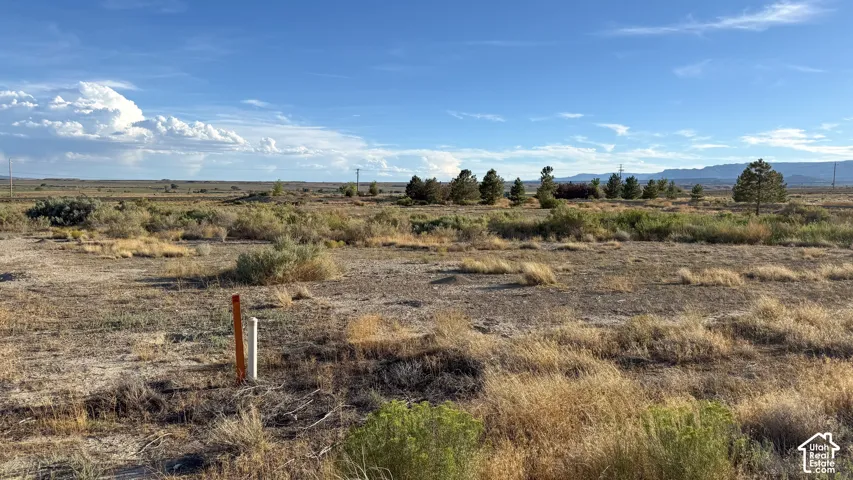 Expansive open terrain featuring natural vegetation, distant mountains, and clear skies