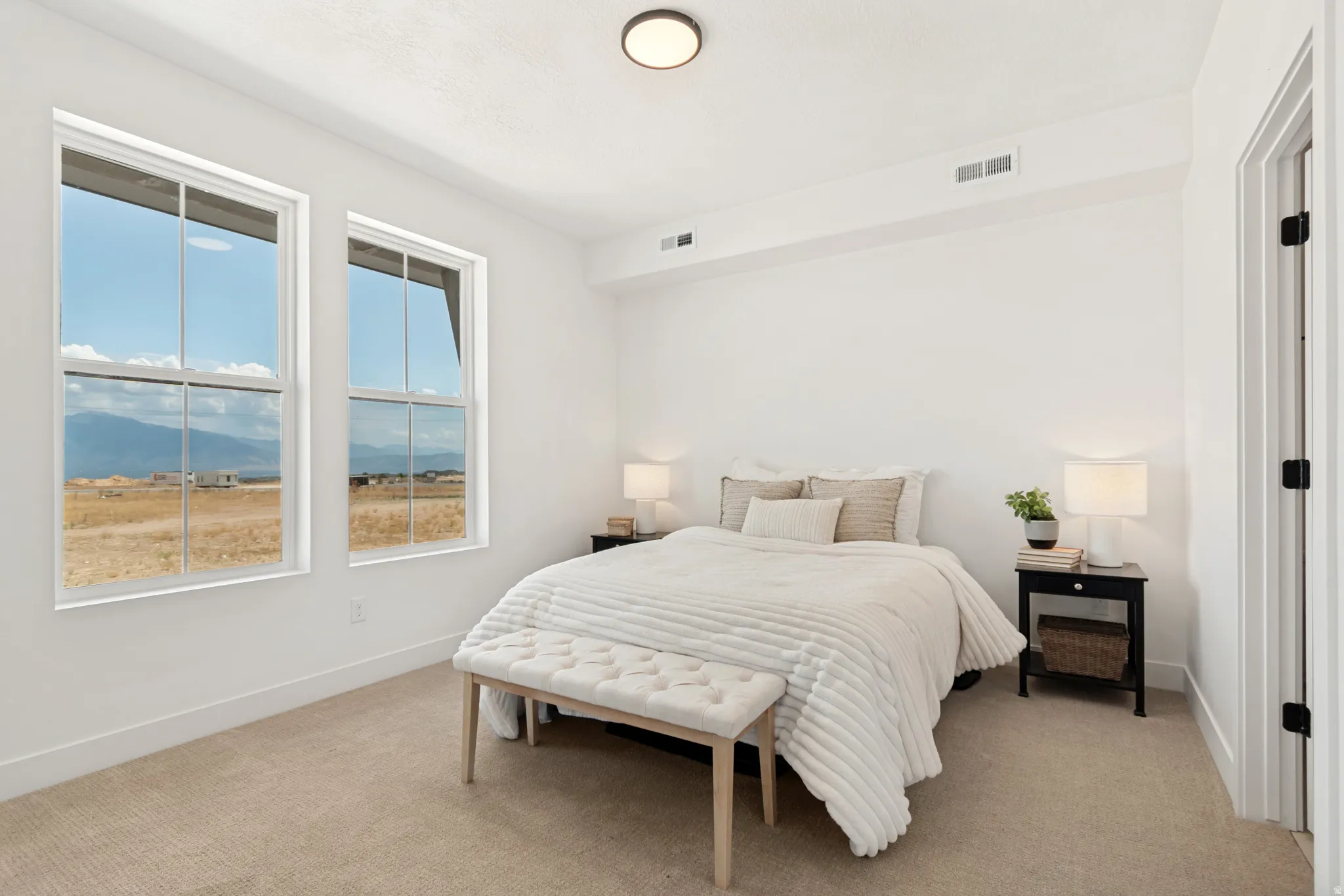 Bright room with two large windows, neutral carpet flooring, white walls, and a flush-mount ceiling light