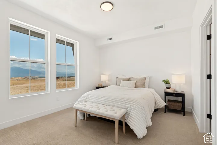 Bright room with two large windows, neutral carpet flooring, white walls, and a flush-mount ceiling light
