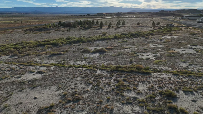 Expansive desert landscape featuring natural vegetation and distant mountain ranges