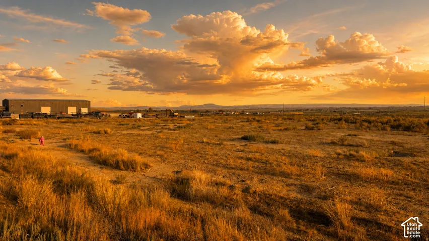 Expansive undeveloped land featuring natural grasses and clear skies