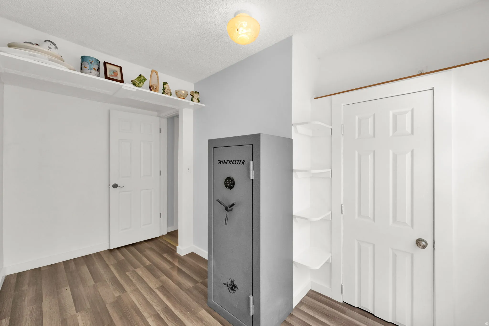 Wood-finish flooring, white paneled doors, built-in shelving, and a built-in overhead shelf