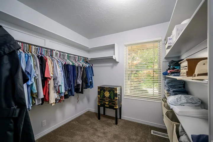 Walk-in closet featuring carpet flooring, built-in shelving, and a window with blinds