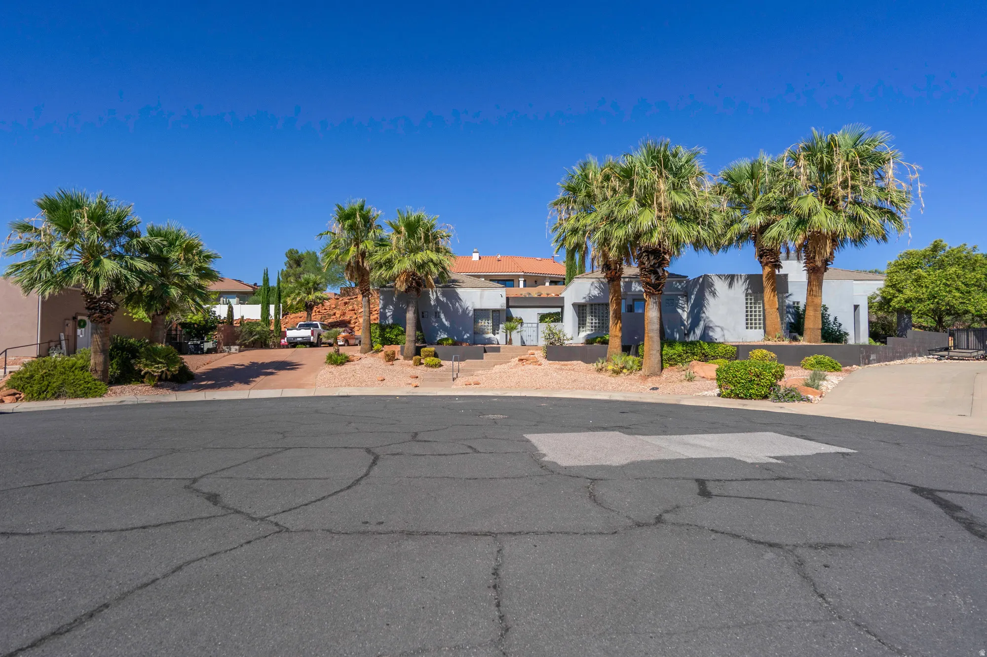 Low-maintenance xeriscaping with mature palm trees, stucco exterior, and a sloped concrete driveway