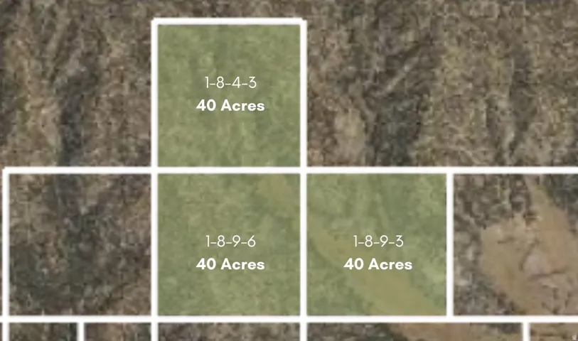 Parcel layout: 1-8-4-3 (40 ac) to the north, with 1-8-9-6 (40 ac) and 1-8-9-3 (40 ac) below. Parcel lines approximate