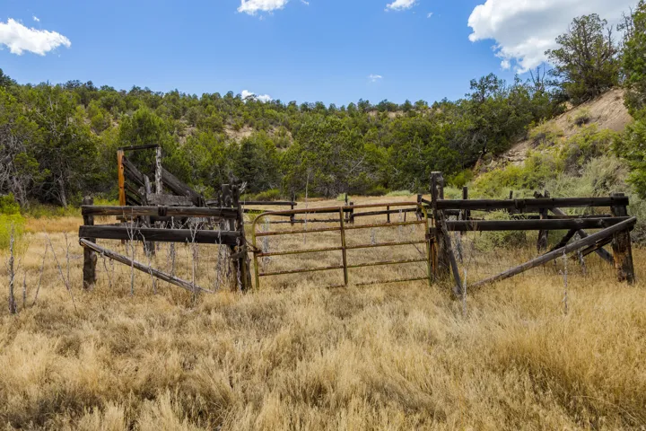 Log corrals with loading chute and working pens, adjacent to the cabin