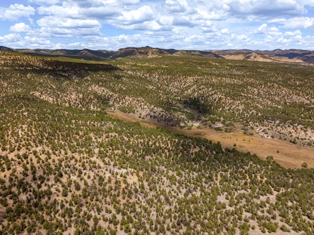 Looking north past the property line to rim rock and public land