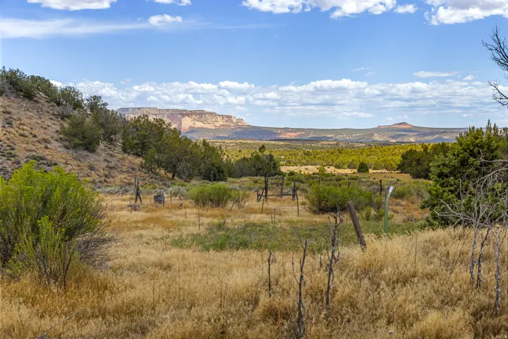 Meadow and interior fence line looking west toward East Zion. Open grazeable ground within the pinyon-juniper