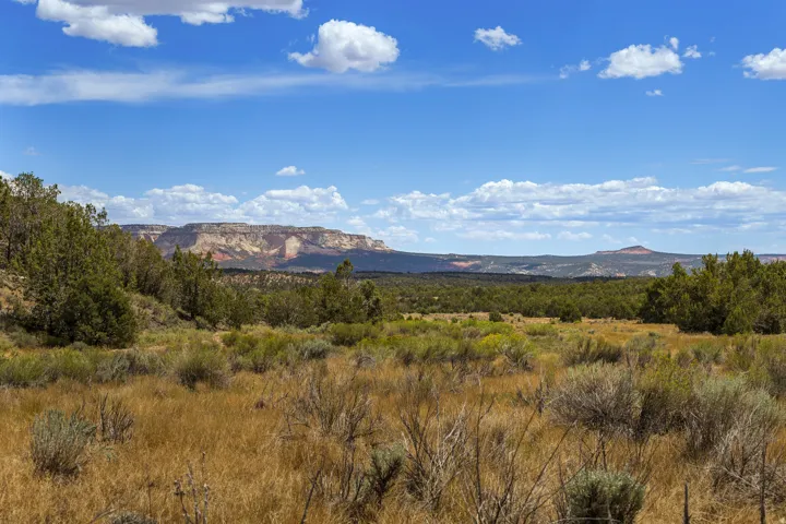 Looking west from the open sage flats toward the cliffs of East Zion. Cover is scattered pinyon-juniper over grass and sage