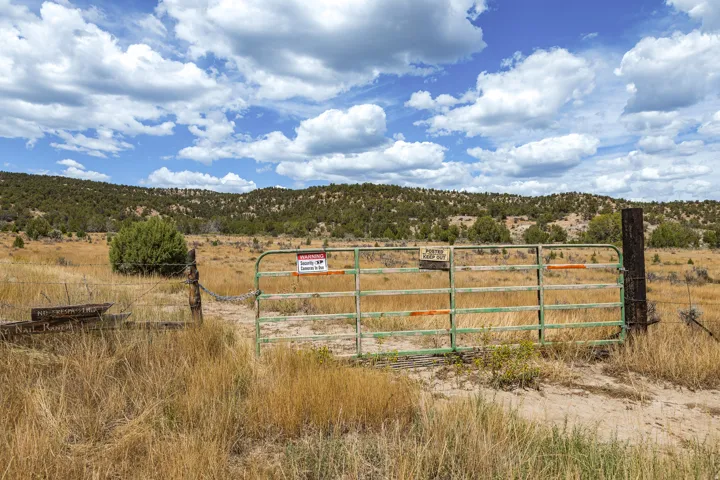 Gated entry at the property line. Perimeter is fenced barbed wire with a cattle guard at the gate. Access is unimproved ranch road — 4WD recommended