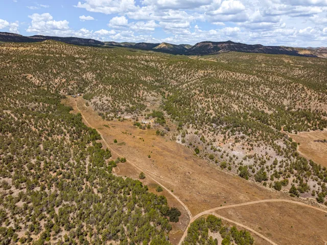 The natural drainage running the length of the property — the travel corridor that funnels game through