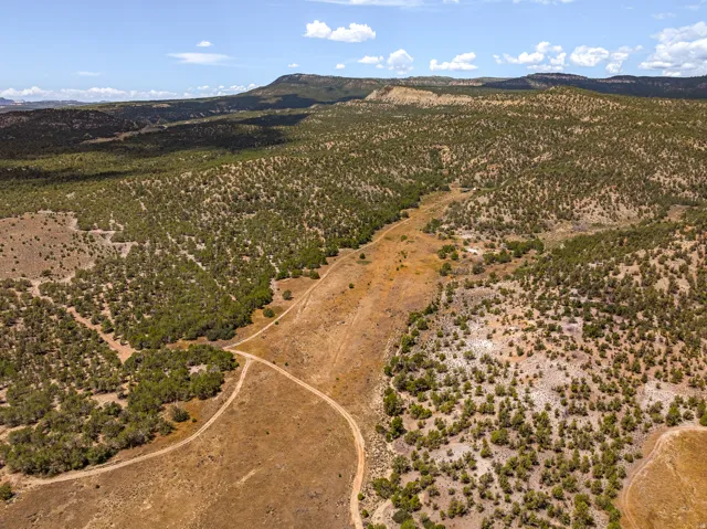 The ranch road following the meadow corridor toward the headquarters. Unimproved surface throughout