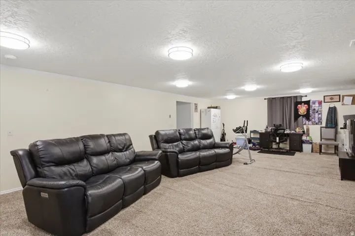 Recessed lighting, textured ceiling, light neutral walls, and carpet flooring