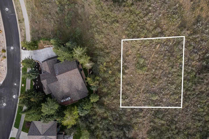 Expansive undeveloped lot with natural vegetation