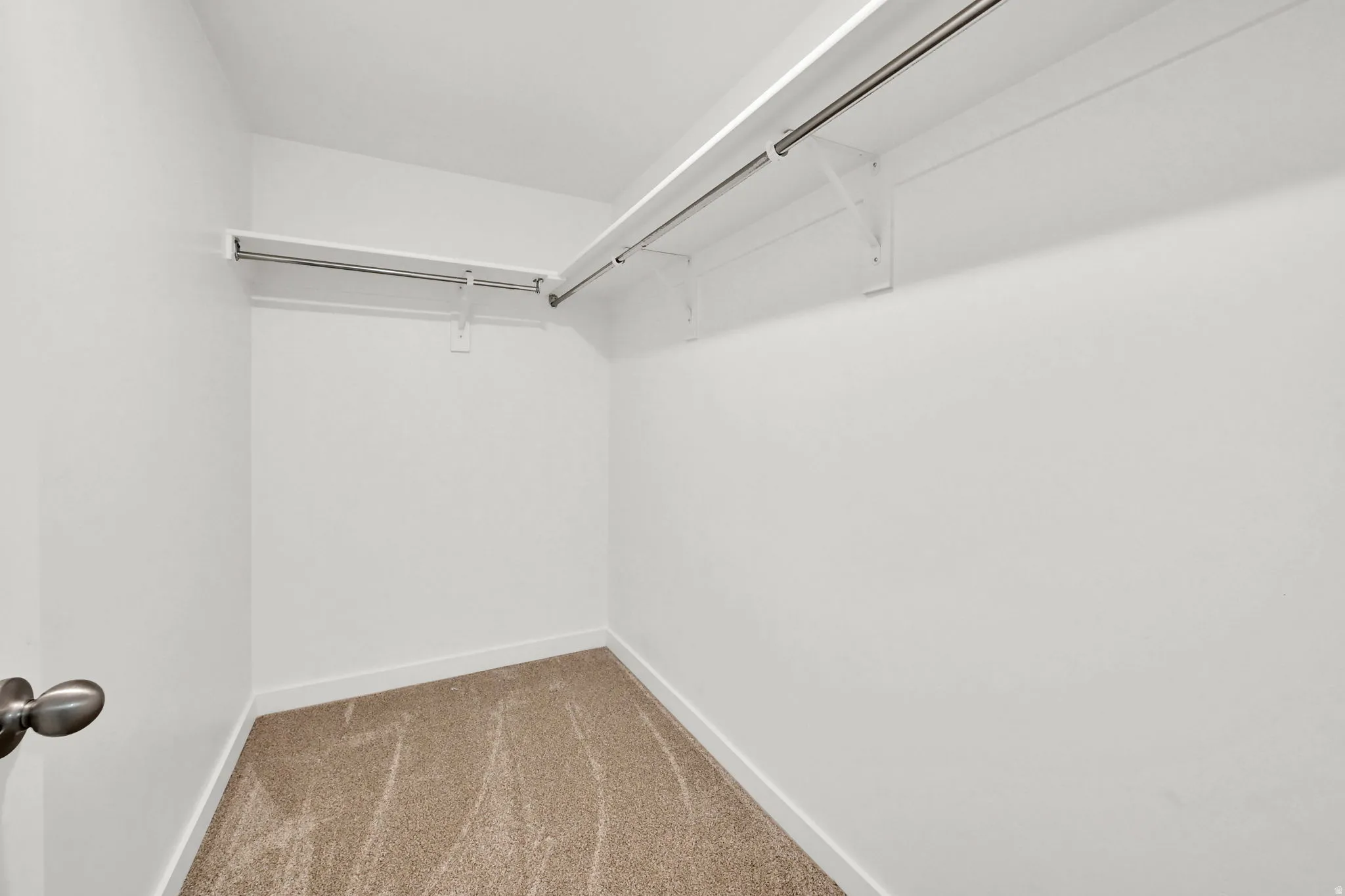 Walk-in closet with carpet flooring, white walls, and dual clothing rods