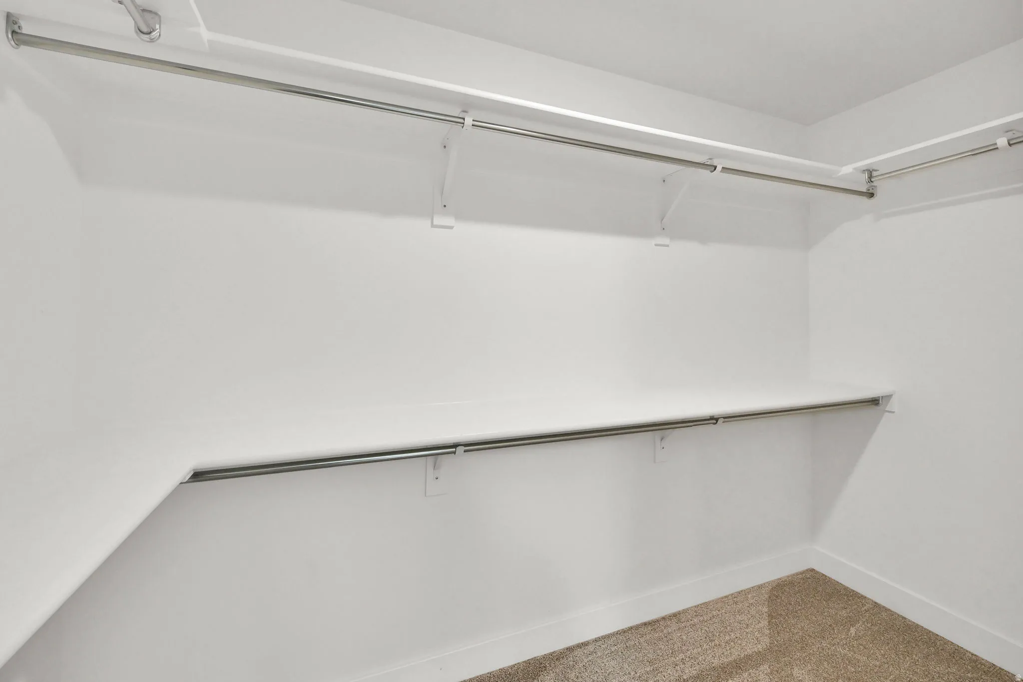 White walk-in closet featuring built-in shelving, chrome hanging rods, and carpet flooring