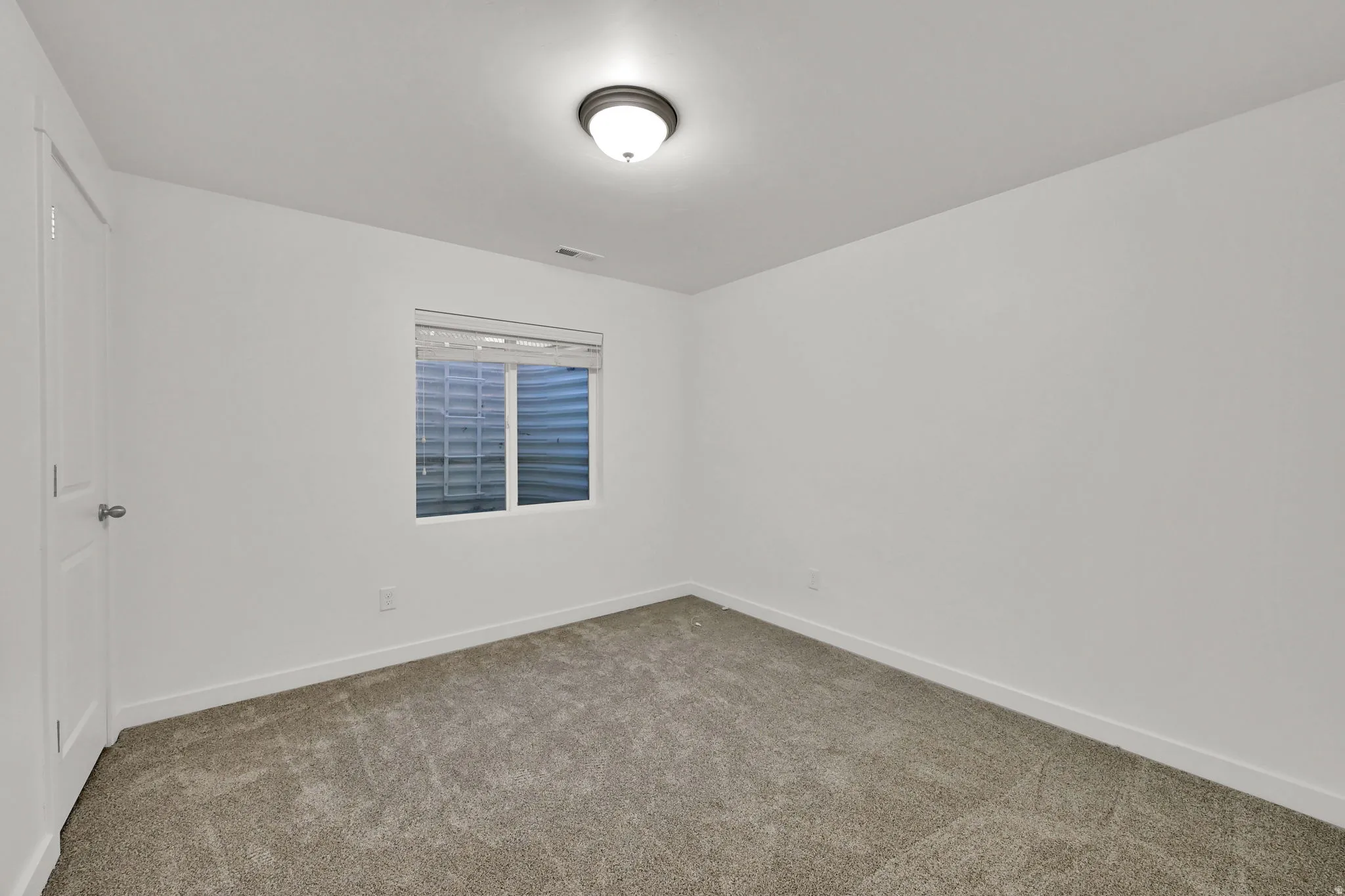 Neutral wall paint, window with blinds, overhead lighting fixture, carpeting, and white trim
