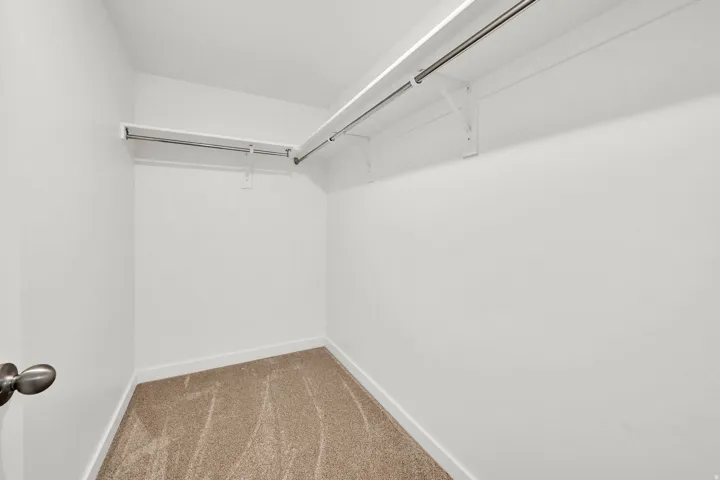 Walk-in closet with carpet flooring, white walls, and dual clothing rods