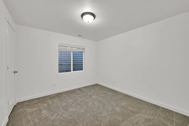 Neutral wall paint, window with blinds, overhead lighting fixture, carpeting, and white trim