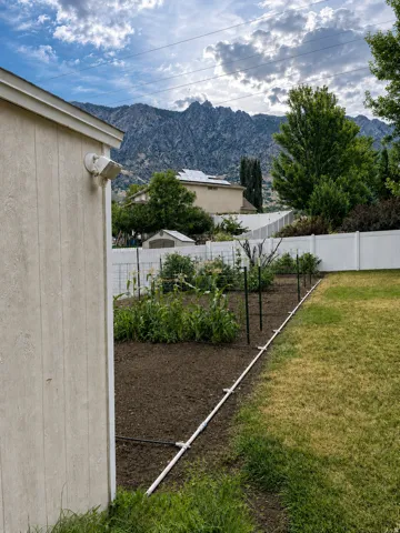 Garden area featuring established plants and a drip irrigation system