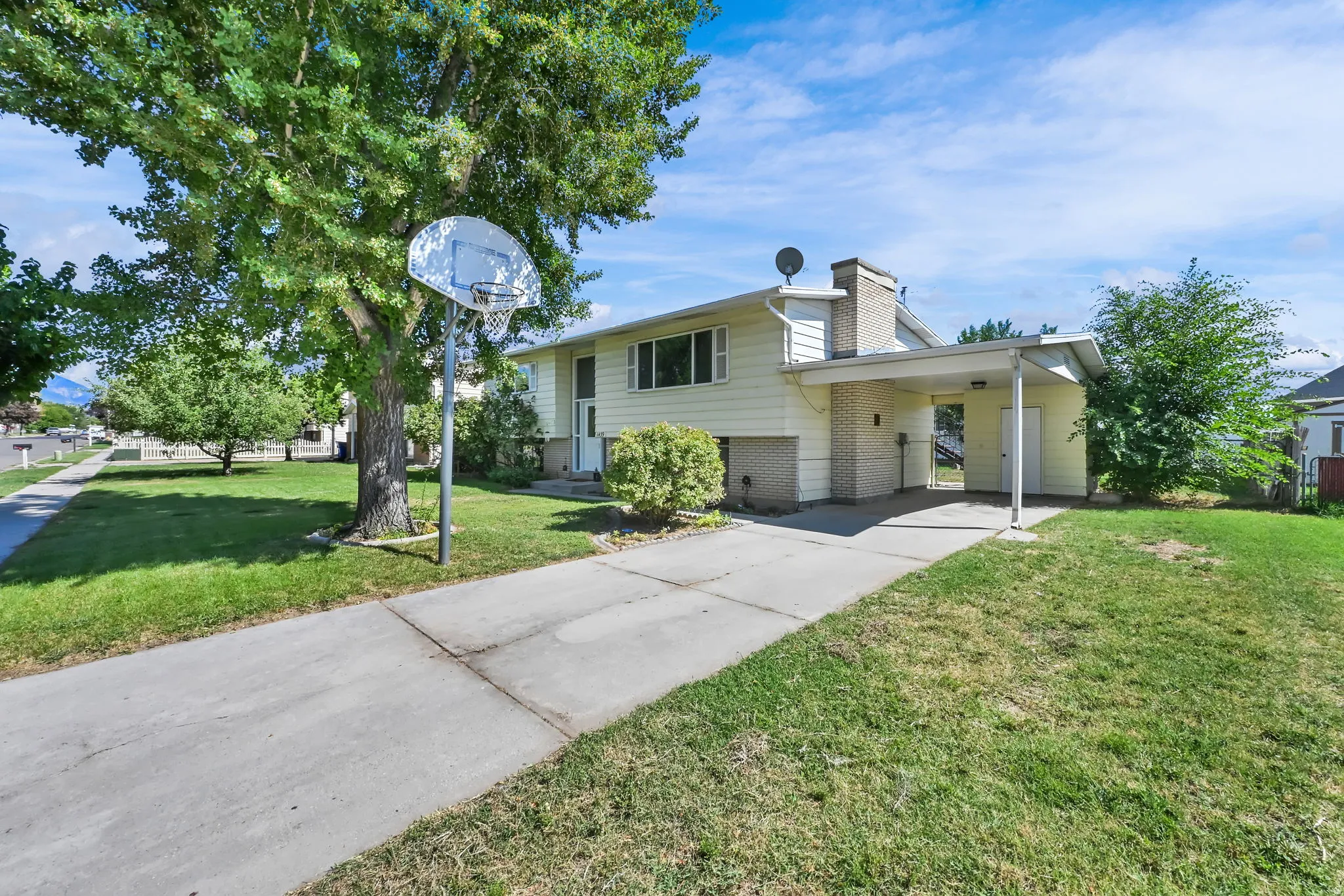 Single-story home featuring a covered carport, brick chimney, and a mature front yard tree