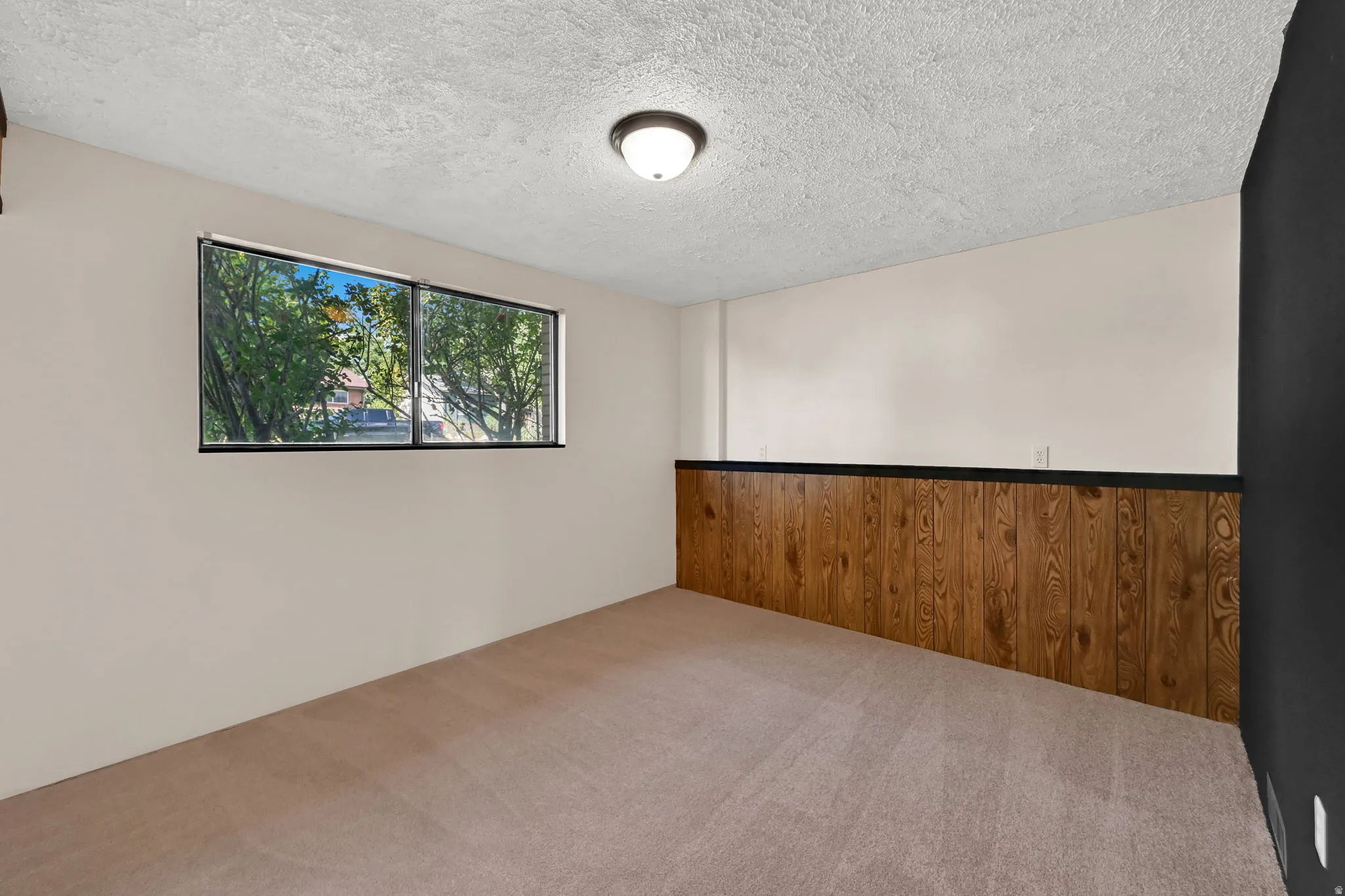 Recessed window with a black frame, light-colored walls, wood-paneled wainscoting, and carpet flooring