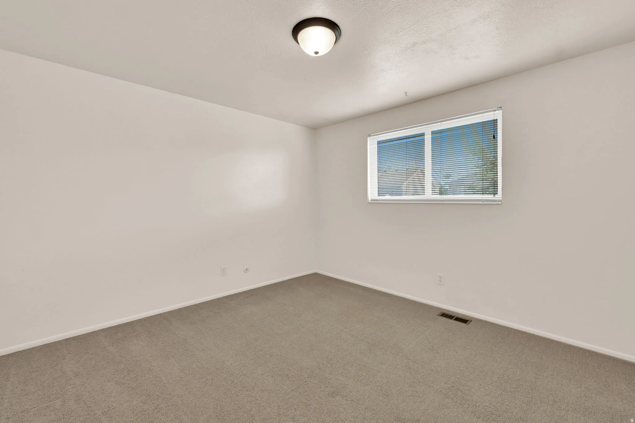 Recessed window with horizontal blinds, overhead ceiling light fixture, and carpeted flooring