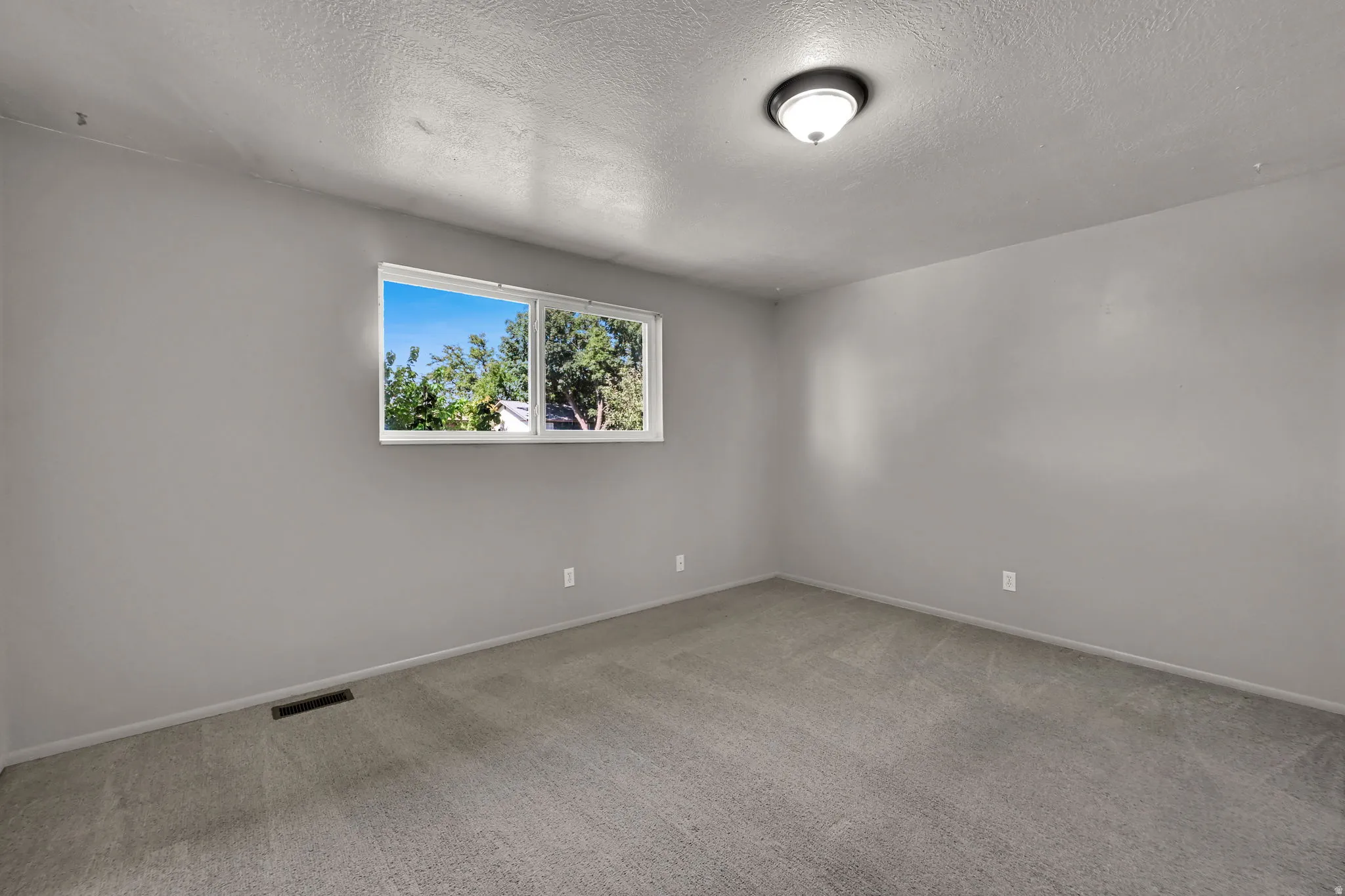 Wall-to-wall carpeting and a ceiling-mounted light fixture