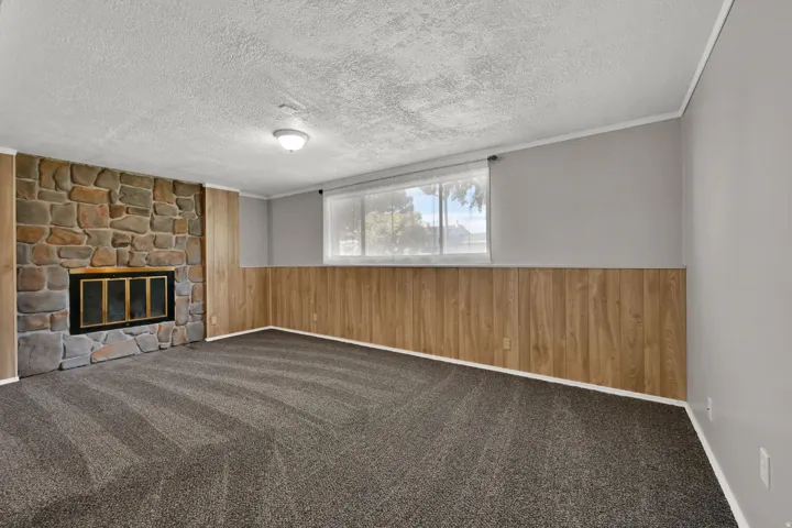 Stone fireplace with a black firebox, wood-finish wainscoting, and neutral carpet flooring