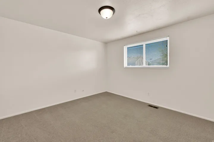 Recessed window with horizontal blinds, overhead ceiling light fixture, and carpeted flooring