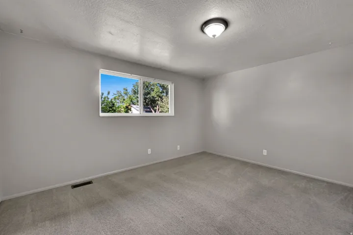 Wall-to-wall carpeting and a ceiling-mounted light fixture