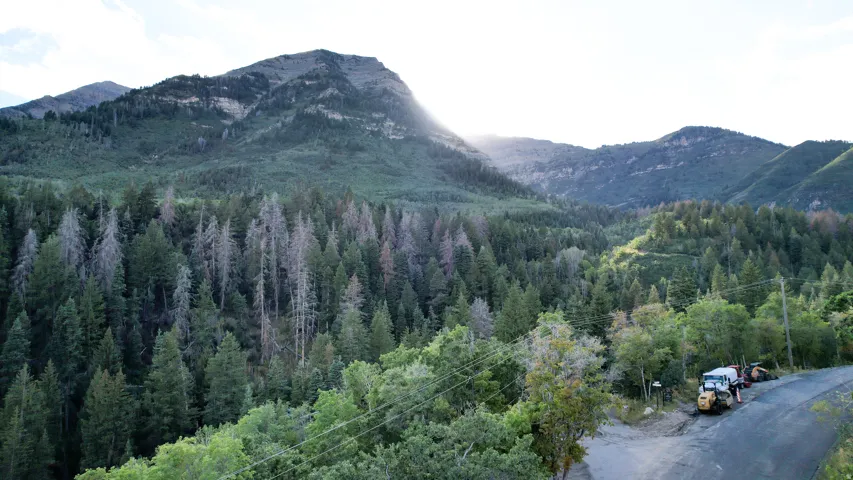 Mountainous landscape featuring a dense forest of evergreen and deciduous treesnal content