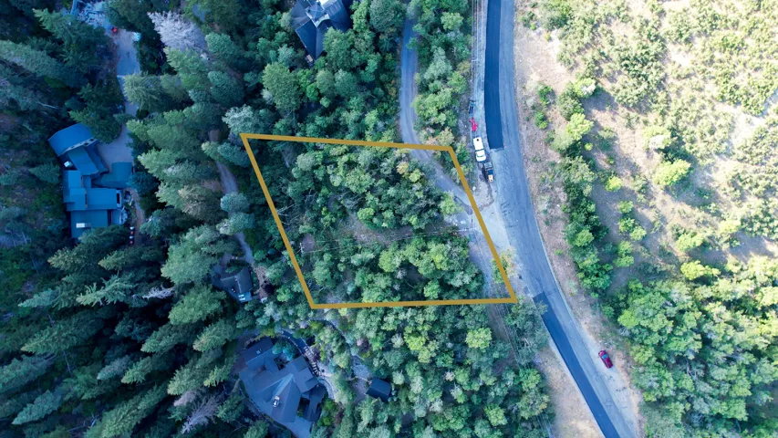 Wooded lot with mature trees, scrub oak, weeds.