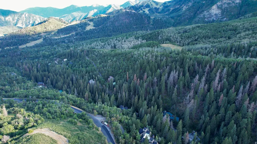View of Sundance Ski resort from the hill just above parcel.