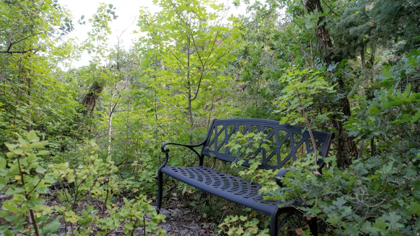 Walking trail and resting bench through the lot.