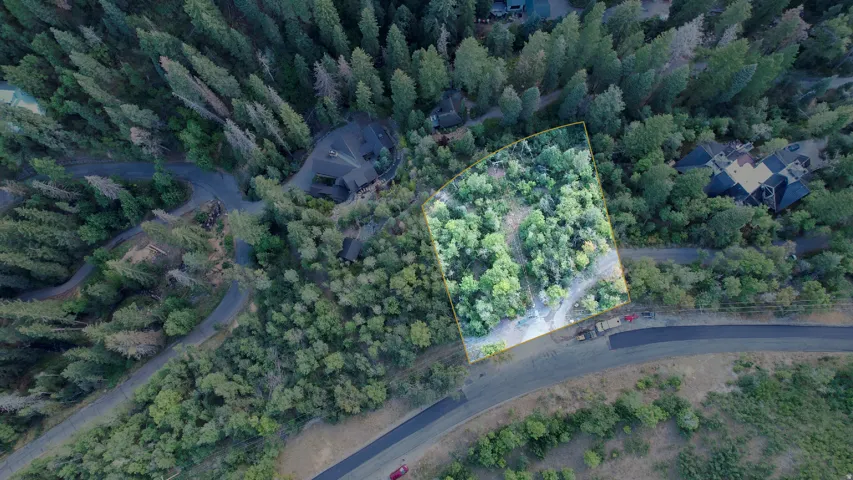 Expansive wooded lot with marked boundaries