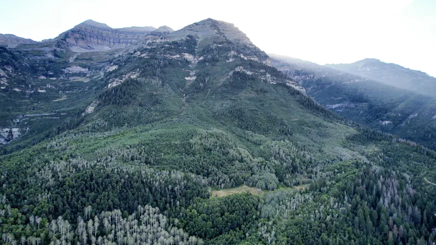 walk to Timpooneke trail head!