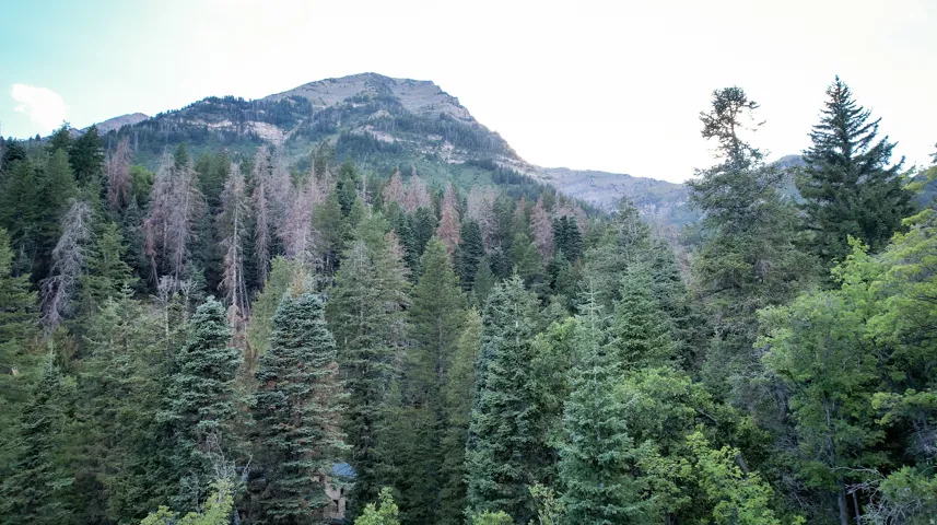 View from the future 2 story mountain home deck